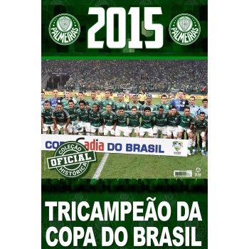 Coleção Oficial Histórica Palmeiras Edição 20 - Pôster Copa Do Brasil 2015