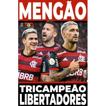 Show De Bola Magazine Superpôster - Flamengo Tricampeão Da Libertadores