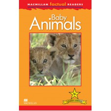 Baby Animals