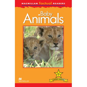 Baby Animals