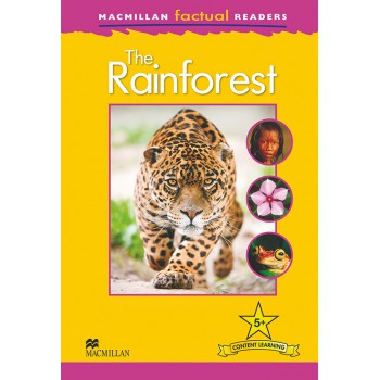 The Rainforest