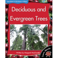 Deciduous And Evergreen Trees