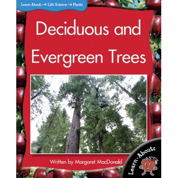 Deciduous And Evergreen Trees