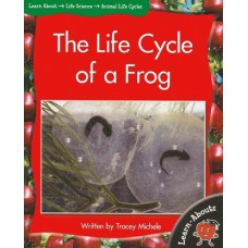 The Life Cycle Of A Frog