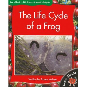 The Life Cycle Of A Frog