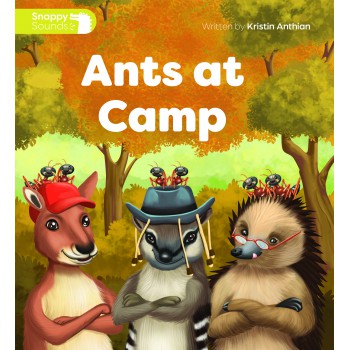 Ants At Camp