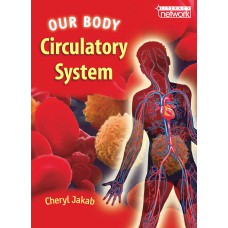 Our Body