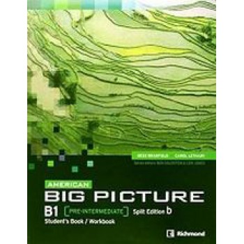 AMERICAN BIG PICTURE B1 SPLIT B