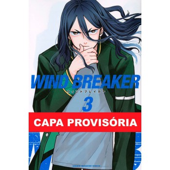 Wind Breaker 03