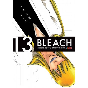 Bleach Remix Vol. 13