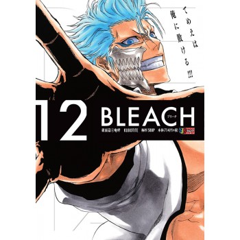 Bleach Remix Vol. 12