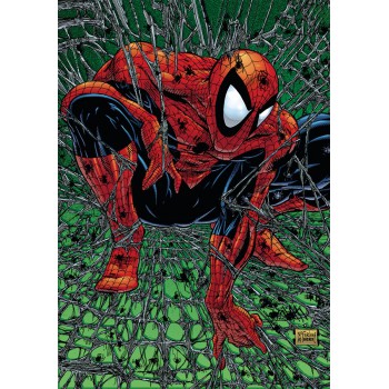 Homem-aranha: Tormento (marvel Essenciais)