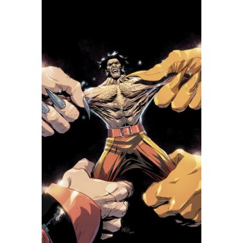 Wolverine (2022) Vol. 28