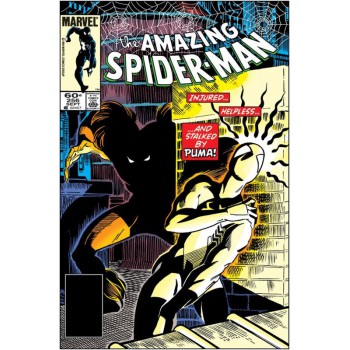 A Saga Do Homem-aranha 3 (27)