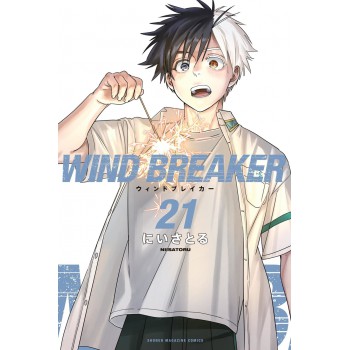 Wind Breaker 21