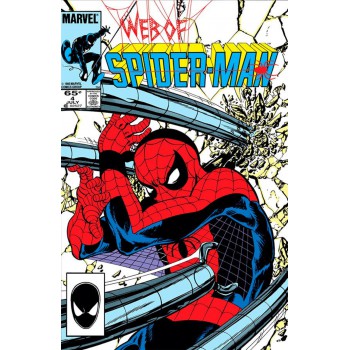 A Saga Do Homem-aranha 9 (33)