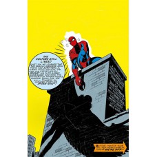 Coleção Clássica Marvel: Nova Fase Vol. 28 - Homem-aranha 15 - A Presa Do Abutre!