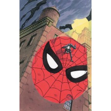 A Saga Do Homem-aranha 17 (41)