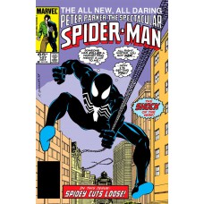 A Saga Do Homem-aranha 13 (37)