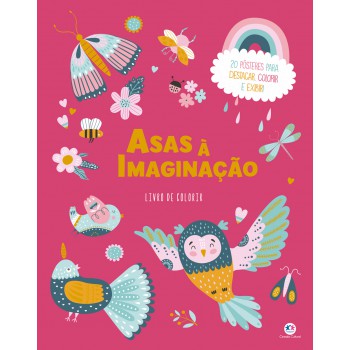 Asas à Imaginação Asas à Imaginação