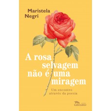 A Rosa Selvagem Não é Uma Miragem: Um Encontro Através Da Poesia