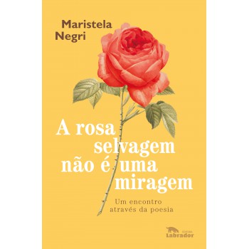 A Rosa Selvagem Não é Uma Miragem: Um Encontro Através Da Poesia