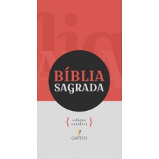 Bíblia Sagrada Nvt (nova Versão Transformadora) - Edição Católica