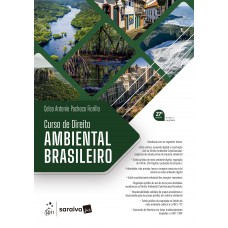 Curso De Direito Ambiental Brasileiro - 27ª Edição 2027