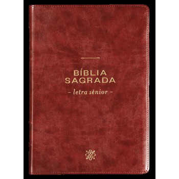 Bíblia Nvi, Letra Sênior, Couro-soft Vinho, Leitura Perfeita