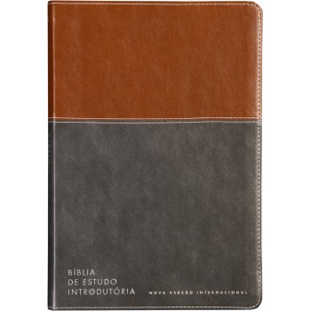 Bíblia De Estudo Introdutória, Nvi, Couro-soft Marrom E Cinza Chumbo, Leitura Perfeita