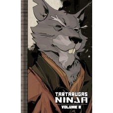 Tartarugas Ninja (coleção Idw) - Edição Absoluta Vol. 2