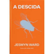 A Descida: Um Romance