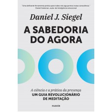 A Sabedoria Do Agora: A Ciência E A Prática Da Presença - Um Guia Revolucionário De Meditação