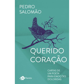 Querido Coração: Cartas De Um Poeta Para Emoções Doloridas