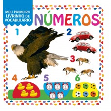 Coleção Meu Primeiro Livrinho De Vocabulário - Números