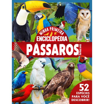 Minha Primeira Enciclopédia De Animais - Pássaros