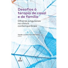 Desafios à Terapia De Casal E De Família: Olhares Junguianos Na Clínica Contemporânea