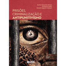 Prisões, Criminalização E Antipunitivismo
