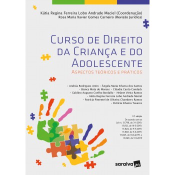 Curso De Direito Da Criança E Do Adolescente - 13ª Edição 2021