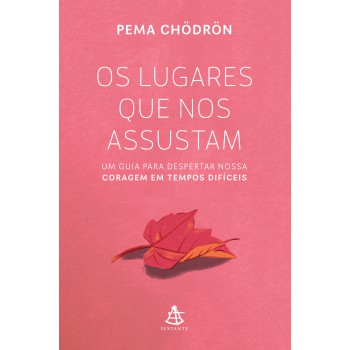 Os Lugares Que Nos Assustam: Um Guia Para Despertar Nossa Coragem Em Tempos Difíceis