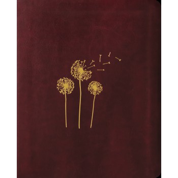 Bíblia Mulheres Naa - 1 Coluna - Sopro Divino.: Por Viviane Martinello