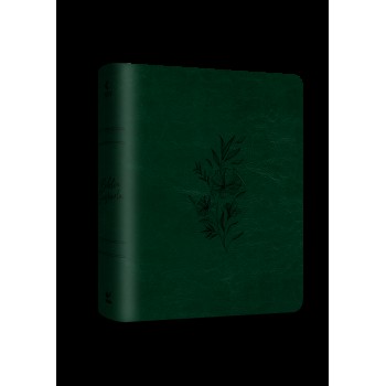 Bíblia Mulheres Nvt - Duas Colunas - Verde Musgo Loral: Por Viviane Martinello