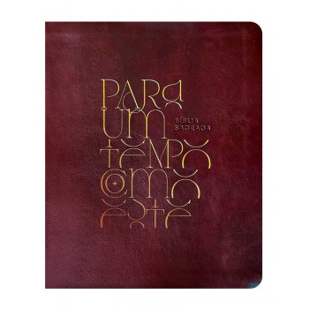 Bíblia Mulheres Naa - Duas Colunas - Para Um Tempo Como Este: Por Viviane Martinello