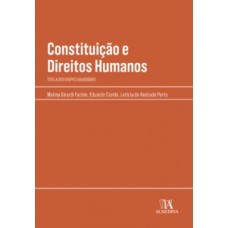 Constituição E Direitos Humanos: Tutela Dos Grupos Vulneráveis