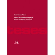 Direito Do Trabalho E Imigração: Imigrantes Indocumentados E A Proteção Da Oit