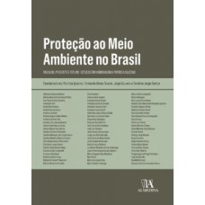 Proteção Ao Meio Ambiente No Brasil: Passado, Presente E Futuro: Estudos Em Homenagem A Patrícia Iglecias