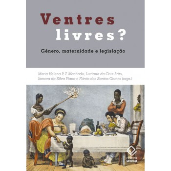 Ventres livres?: Gênero, maternidade e legislação