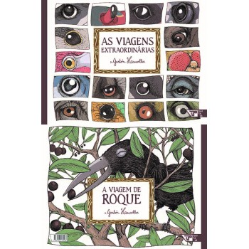 As Viagens Extraordinárias/a Viagem De Roque