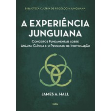 A Experiência Junguiana: Conceitos Fundamentais Sobre Análise Clínica E O Processo De Individuação