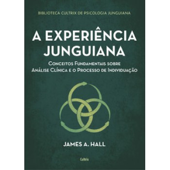 A Experiência Junguiana: Conceitos Fundamentais Sobre Análise Clínica E O Processo De Individuação